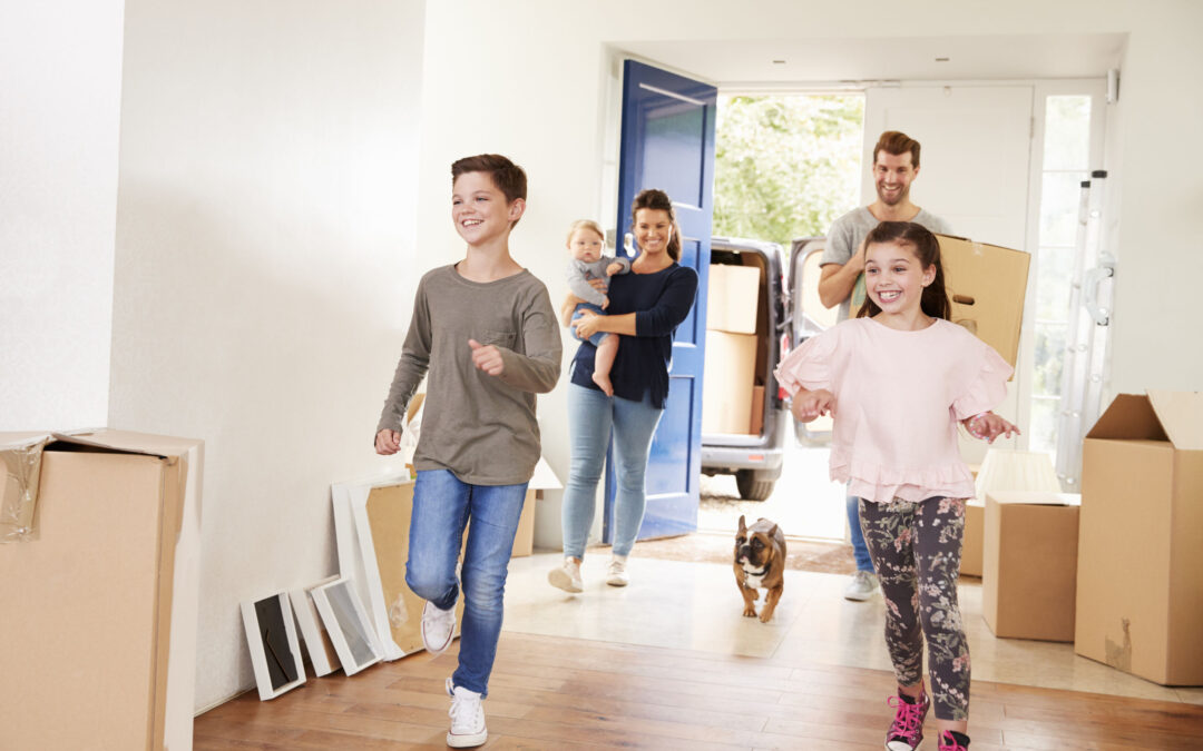 Moving With Pets
