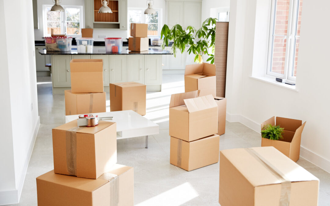 Everything You Need to Know About Moving Insurance