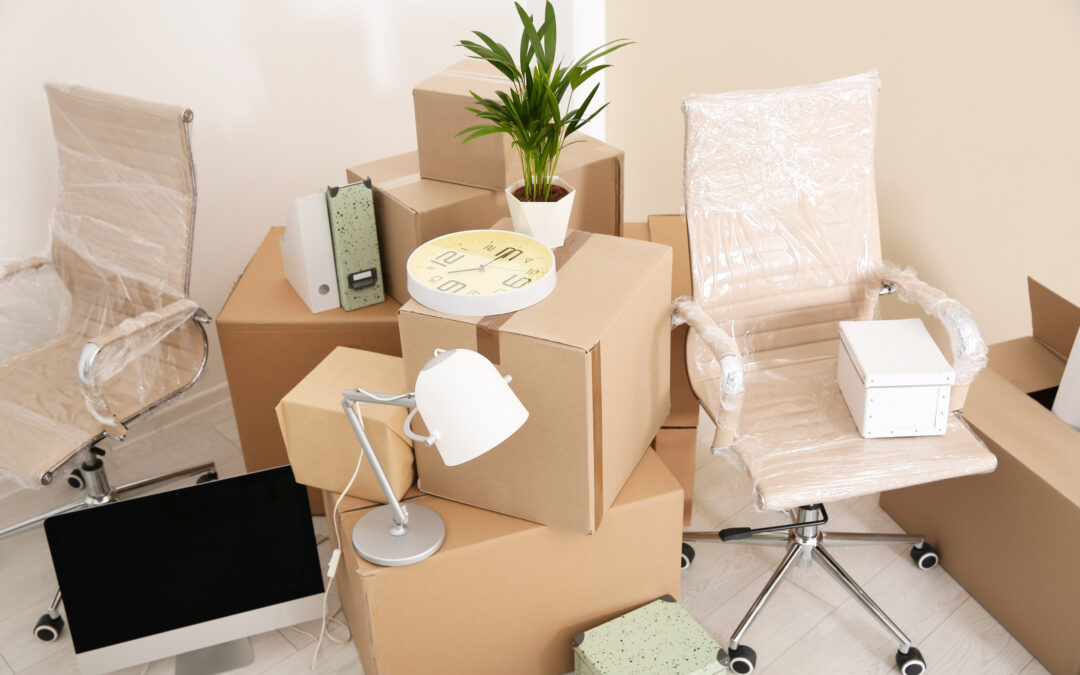 Top Tips For Your Government Move