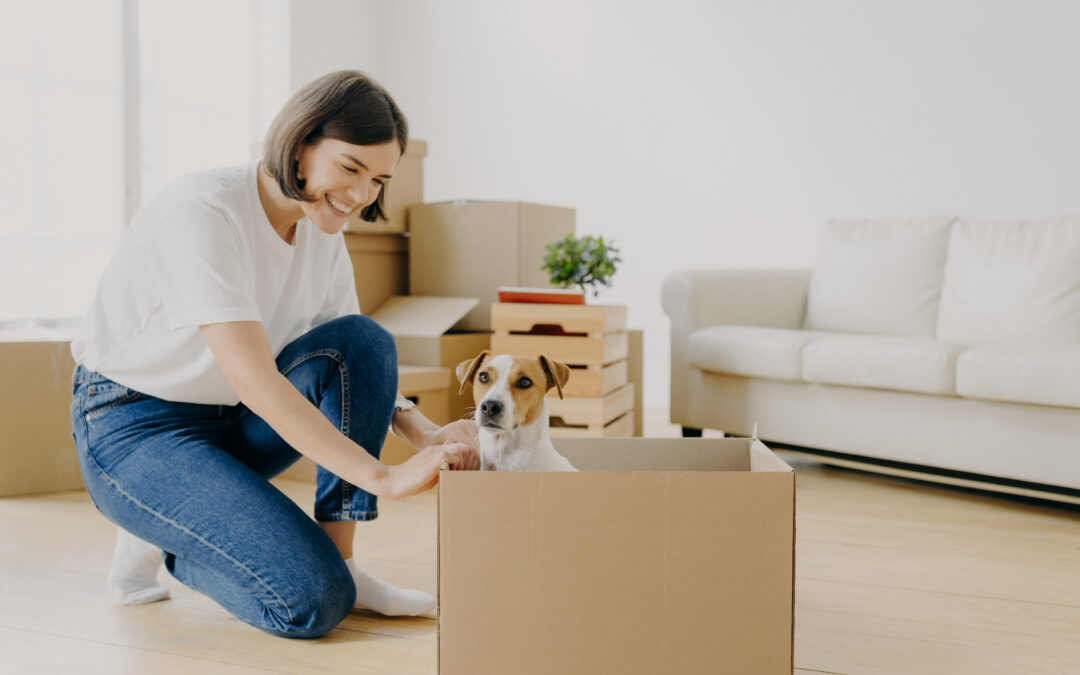 5 Things To Be Mindful Of When Moving With Pets