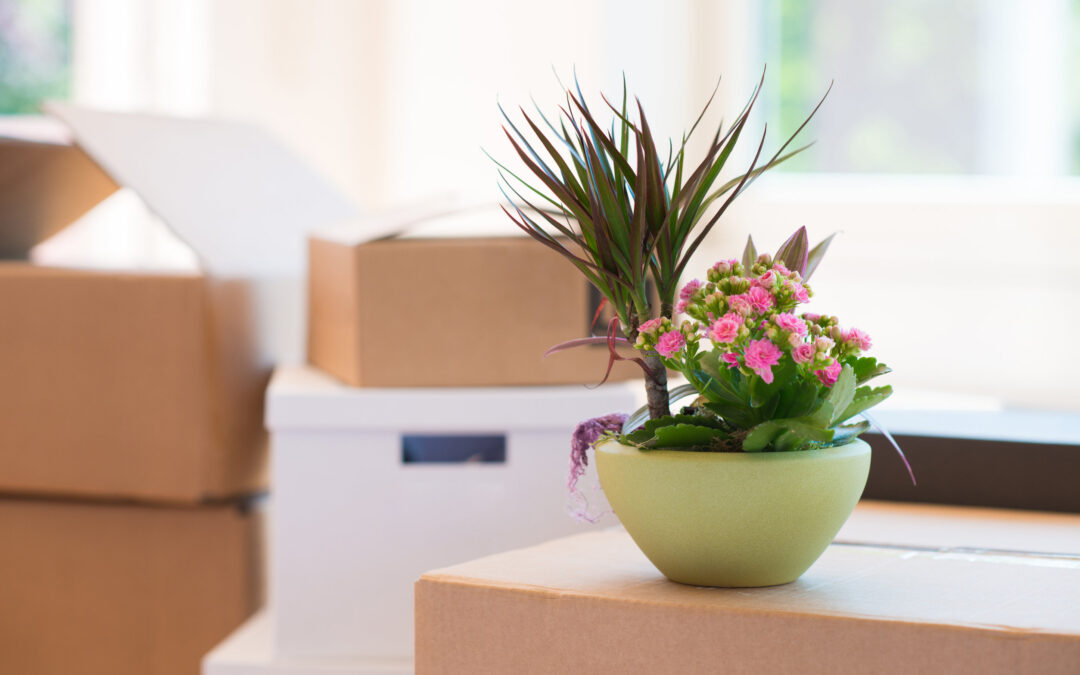 5 Items Not to Pack When Moving